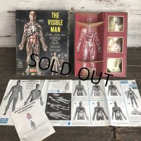 50s Vintage Renwal The Visible Man Kit (J880) 
