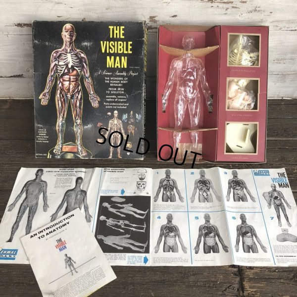 画像1: 50s Vintage Renwal The Visible Man Kit (J880) 