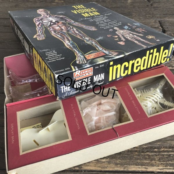 画像7: 50s Vintage Renwal The Visible Man Kit (J880) 
