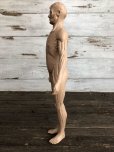 画像2: 70s Vintage Leon Schlossber Human body Model (J879)  (2)