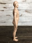 画像4: 70s Vintage Leon Schlossber Human body Model (J879) 