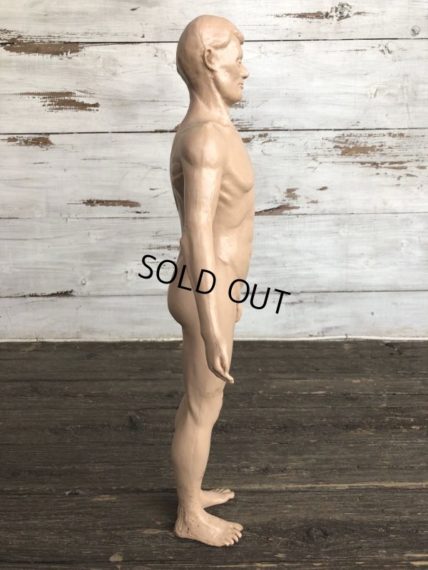 画像4: 70s Vintage Leon Schlossber Human body Model (J879)
