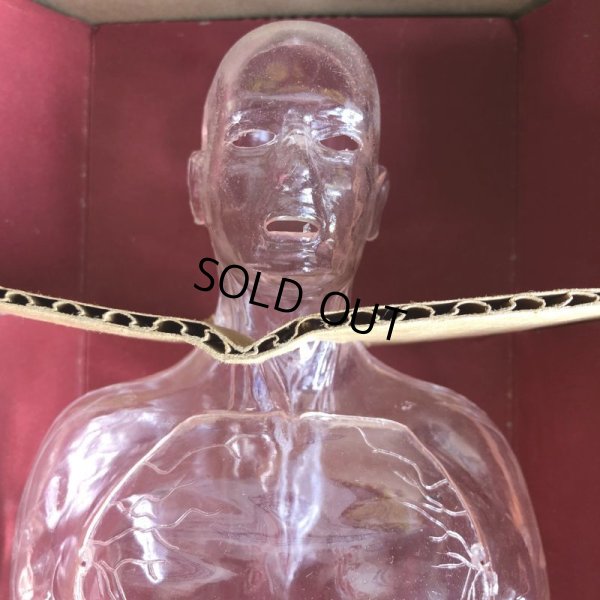 画像3: 50s Vintage Renwal The Visible Man Kit (J880) 