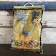 画像1: Vintage Dakin Road Runner (J912) (1)