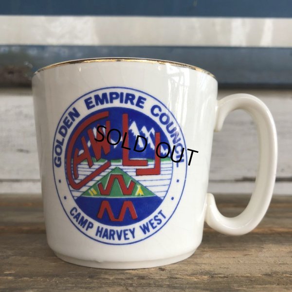 画像1: Vintage Boy Scout Mug (J939)