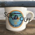 Vintage Boy Scout Mug (J934)