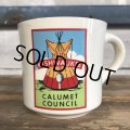 Vintage Boy Scout Mug (J929)