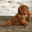 画像3: 70s Knickerbocker Snuffy Plush Doll (S092)