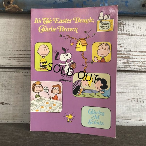 画像1: Vintage Snoopy A Charlie Brown Special Comic Book (S129）