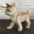 画像1: Vintage French Bulldog Ceramic Statue  (S280) (1)