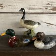 画像9: Vintage Duck Bottle Opener (S336)