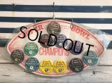 Vintage NFL Super Bowl Champions Collection Set (S369)