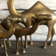画像3: Vintage Brass Camel Set (S450)