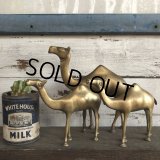 Vintage Brass Camel Set (S450)