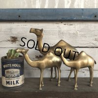 Vintage Brass Camel Set (S450)