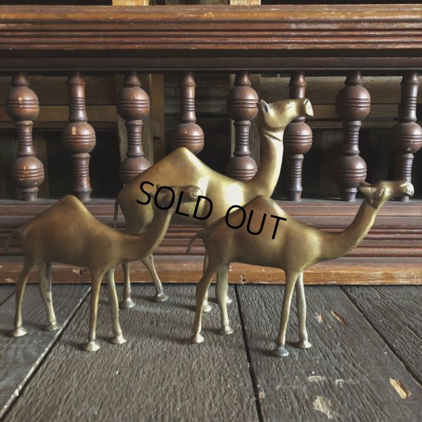 画像8: Vintage Brass Camel Set (S450)