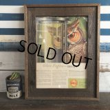 40s Vintage SHELL Advertising W/Frame (S449)