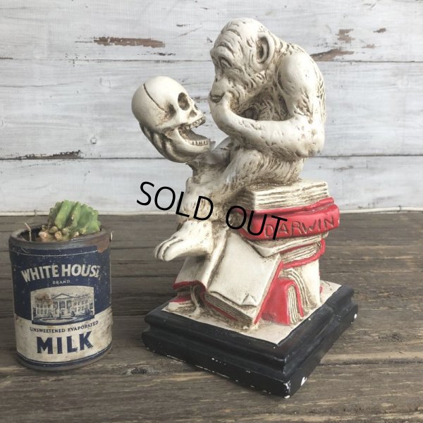 画像1: ※ご来店引き取り限定SALE※ Vintage Darwin Monkey On Books w/ Skull Chalkware Statue (S486)