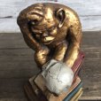 画像8: Vintage Darwin Monkey On Books w/ Skull Chalkware Statue (S485)