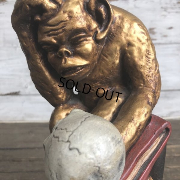 画像9: Vintage Darwin Monkey On Books w/ Skull Chalkware Statue (S485)