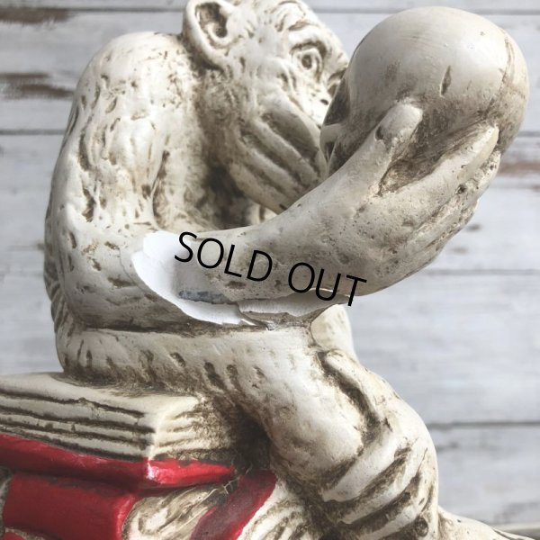 画像8: ※ご来店引き取り限定SALE※ Vintage Darwin Monkey On Books w/ Skull Chalkware Statue (S486)