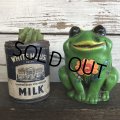 Vintage Ceramic Frog Bank Hippie Flower Power Psychedelic (S488)