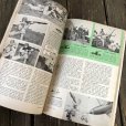 画像6: 1940s Vintage Popular Science Magazine (PS355) 