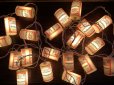 画像1: Vintage Budweiser Patio Lights (S772)  (1)