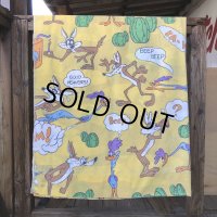 70s Vintage Fabric Twin Flat  Road Runner & Wile E. Coyote (S815)