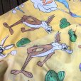 画像5: 70s Vintage Fabric Twin Flat  Road Runner & Wile E. Coyote (S815)