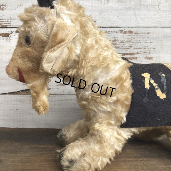 画像10: Vintage US Navy Bill the Goat Mascot Doll (S820)