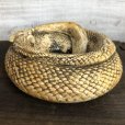 画像3: Vintage Rattlesnake Ashtray (S910)