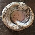 画像8: Vintage Rattlesnake Ashtray (S911)