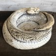 画像4: Vintage Rattlesnake Ashtray (S911)