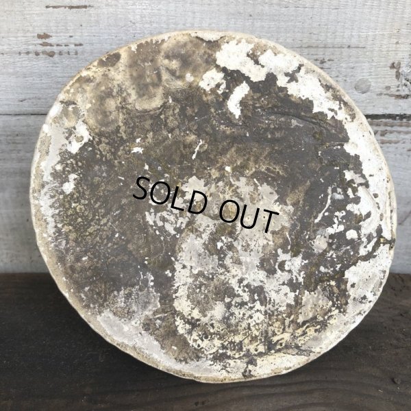 画像7: Vintage Rattlesnake Ashtray (S911)