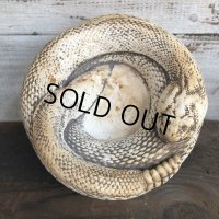 Vintage Rattlesnake Ashtray (S911)
