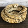 画像4: Vintage Rattlesnake Ashtray (S910)