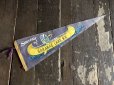 画像1: Vintage Native American Indian Souvenir Pennant Souvenir of SARANAC LAKE.N.Y. (S961)  (1)