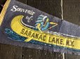 画像2: Vintage Native American Indian Souvenir Pennant Souvenir of SARANAC LAKE.N.Y. (S961)  (2)