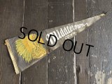 Vintage Native American Indian Souvenir Pennant Middletown CONN. (S962) 