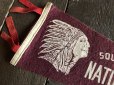 画像2: Vintage Native American Indian Souvenir Pennant SOUVENIR OF NATURAL BRIDGE.N.Y. (S959)  (2)