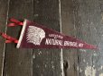 画像1: Vintage Native American Indian Souvenir Pennant SOUVENIR OF NATURAL BRIDGE.N.Y. (S959)  (1)