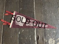 Vintage Native American Indian Souvenir Pennant SOUVENIR OF NATURAL BRIDGE.N.Y. (S959) 