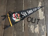 Vintage Native American Indian Souvenir Pennant SEA SHELL CITY U.S.A. (S960) 