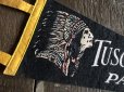 画像2: Vintage Native American Indian Souvenir Pennant TUSCARORA SUMMIT PA. (S956)  (2)