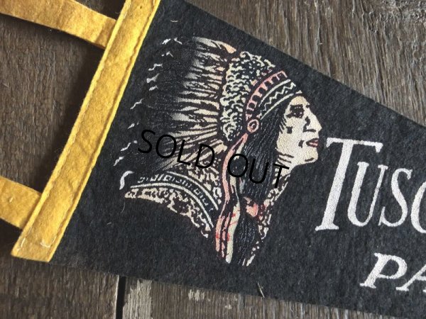 画像2: Vintage Native American Indian Souvenir Pennant TUSCARORA SUMMIT PA. (S956) 