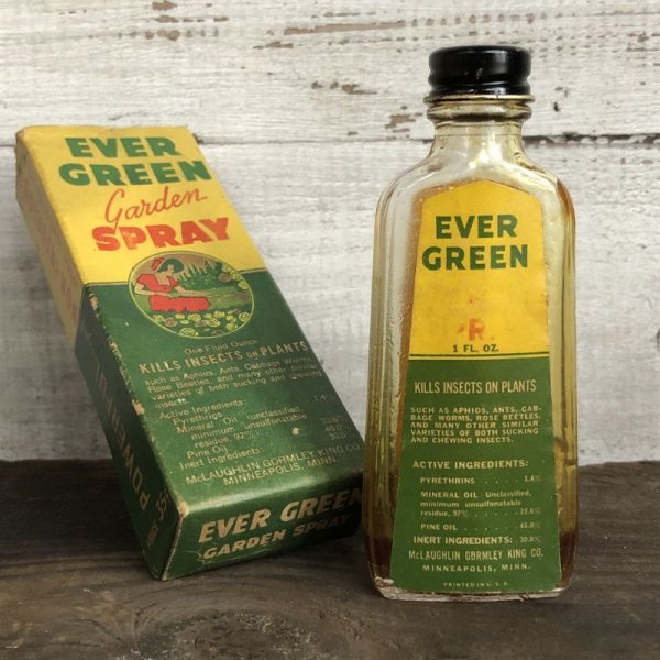 画像2: Vintage Glass Bottle EVER GREEN Garden Spray (S979)