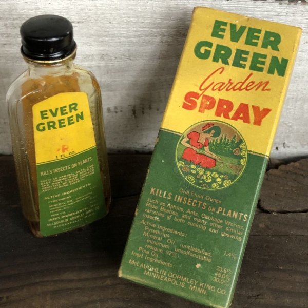 画像1: Vintage Glass Bottle EVER GREEN Garden Spray (S979)