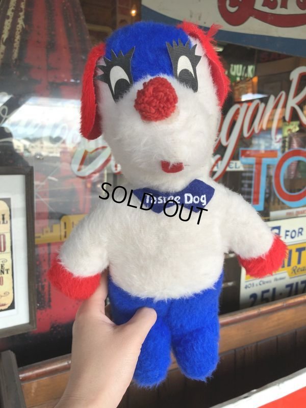画像6: Vintage Tastee Freez Dog Pillow Rag Doll (T110)