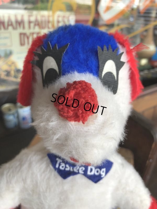 画像5: Vintage Tastee Freez Dog Pillow Rag Doll (T110)